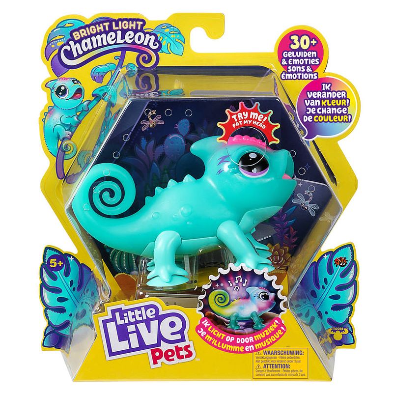 Foto van Little live pets bright light kameleon sunny - blauw