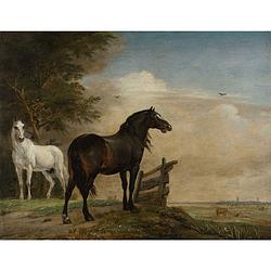 Foto van Inductiebeschermer - schilderij twee paarden - 80.2x52.2 cm
