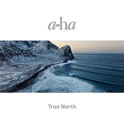 Foto van True north - lp (0196587083014)