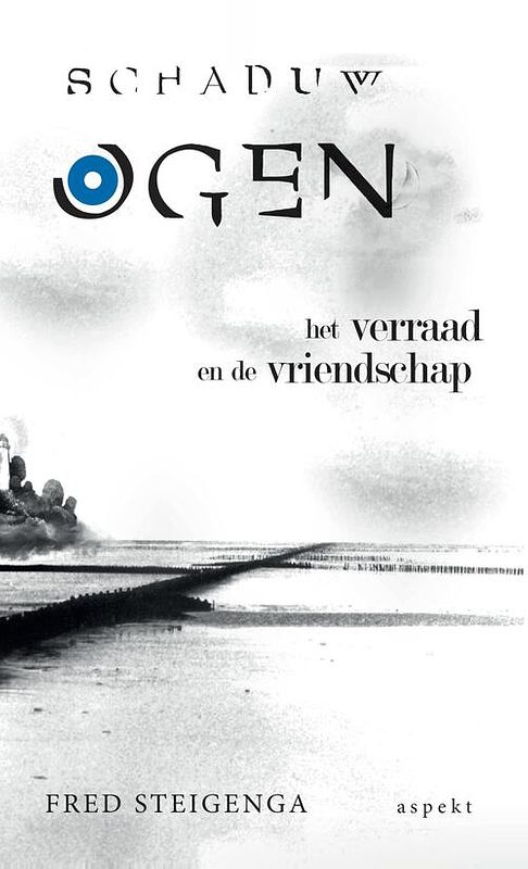 Foto van Schaduwogen - fred steigenga - ebook (9789464241839)