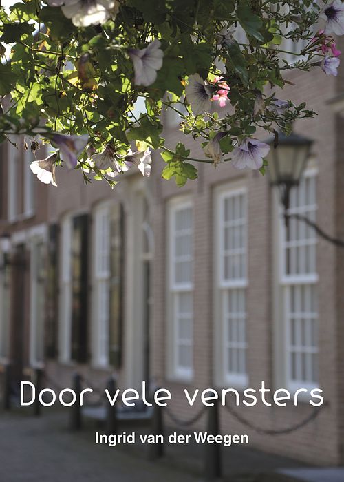 Foto van Door vele vensters - ingrid van der weegen - ebook (9789082431810)