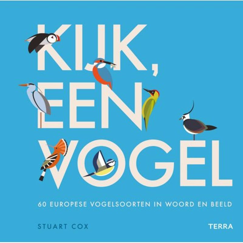 Foto van Kijk, een vogel