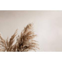 Foto van Inductiebeschermer - pampas natural - 78x78 cm