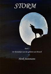 Foto van Storm - henk steinmann - paperback (9789493240025)