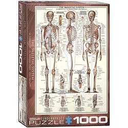 Foto van Eurographics puzzel skeletal system - 1000 stukjes
