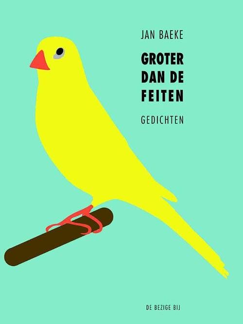 Foto van Groter dan de feiten - jan baeke - ebook (9789023484950)