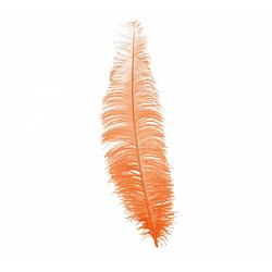 Foto van Fiestas guirca hoofdband struisvogel veren 40 cm oranje