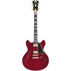 Foto van D'sangelico excel dc stopbar trans cherry semi-akoestische gitaar met koffer