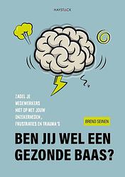 Foto van Ben jij wel een gezonde baas? - brend seinen - ebook