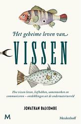 Foto van Het geheime leven van vissen - jonathan balcombe - ebook (9789402310504)