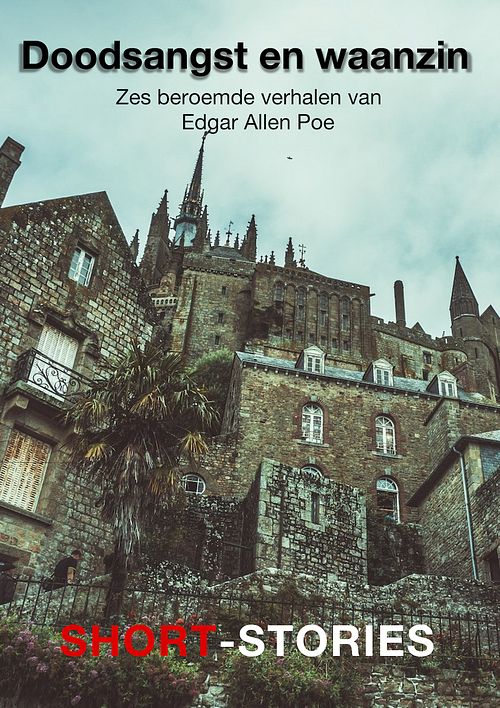 Foto van Doodsangst en waanzin - edgar allen poe - ebook (9789462179608)