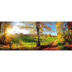 Foto van Dimex meadow vlies fotobehang 375x150cm 2-delen