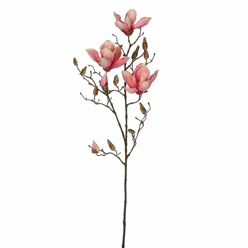 Foto van Magnolia beverboom kunstbloemen takken 90 cm decoratie - kunstbloemen