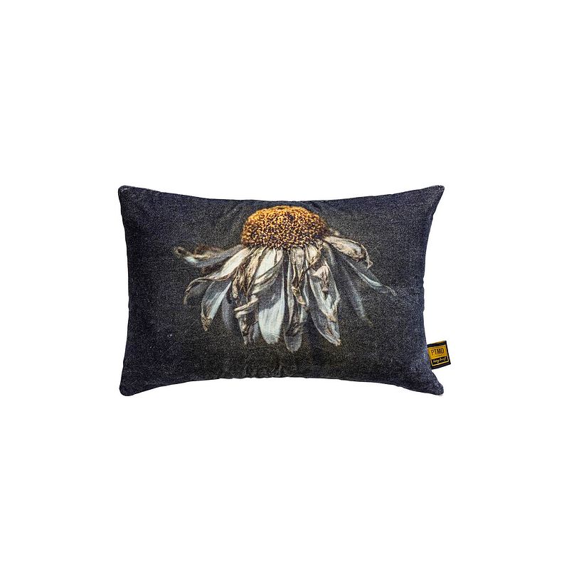 Foto van Ptmd hava black cotton velvet cushion daisy flower l