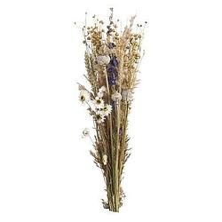 Foto van Droogbloemen boeket mix - naturel/blauw - 45 cm - leen bakker