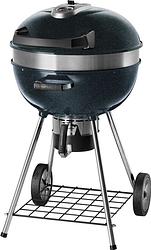 Foto van Napoleon grills pro charcoal leg metallic