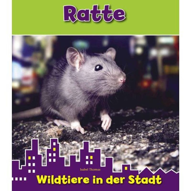 Foto van Ratte - wildtiere in der stadt