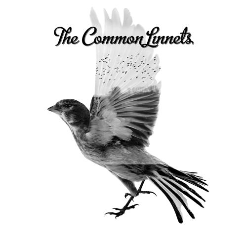 Foto van The common linnets - cd (0602537800957)