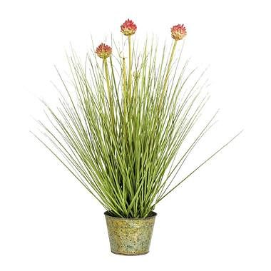 Foto van Allium gras in pot - paars - 53 cm - leen bakker