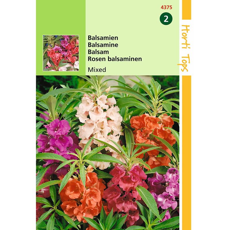 Foto van Hortitops - 2 stuks impatiens balsamina balsamine dubbelbl. gemengd