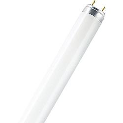 Foto van Osram tl-lamp energielabel: g (a - g) g13 58 w warmwit buis (ø x l) 26 mm x 1500 mm 1 stuk(s)