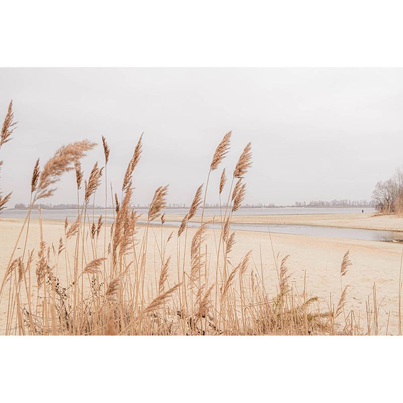 Foto van Inductiebeschermer - pampas aan het strand - 58.3x51.3 cm