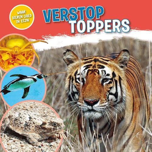 Foto van Verstoptoppers - nancy dickmann - hardcover (9789464390162)