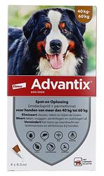 Foto van Advantix spot-on solution hond