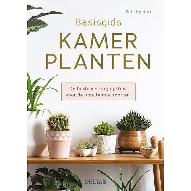 Foto van Basisgids kamerplanten