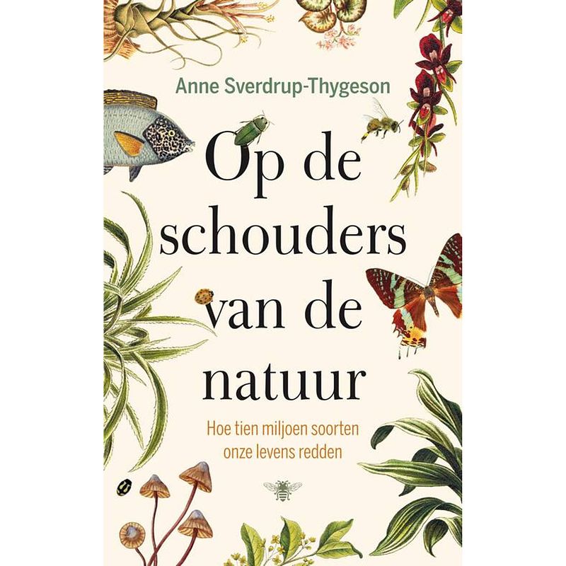 Foto van Op de schouders van de natuur