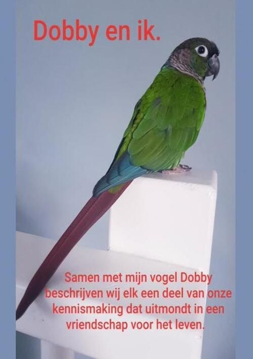 Foto van Dobby en ik. - tineke koenes - paperback (9789464356847)