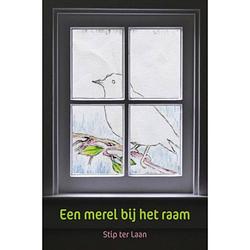 Foto van Een merel bij het raam - evviva