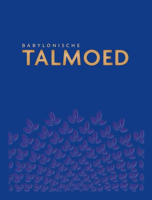 Foto van Babylonische talmoed sanhedrien 1 en 2 - jacob de leeuwe - hardcover (9789493220218)