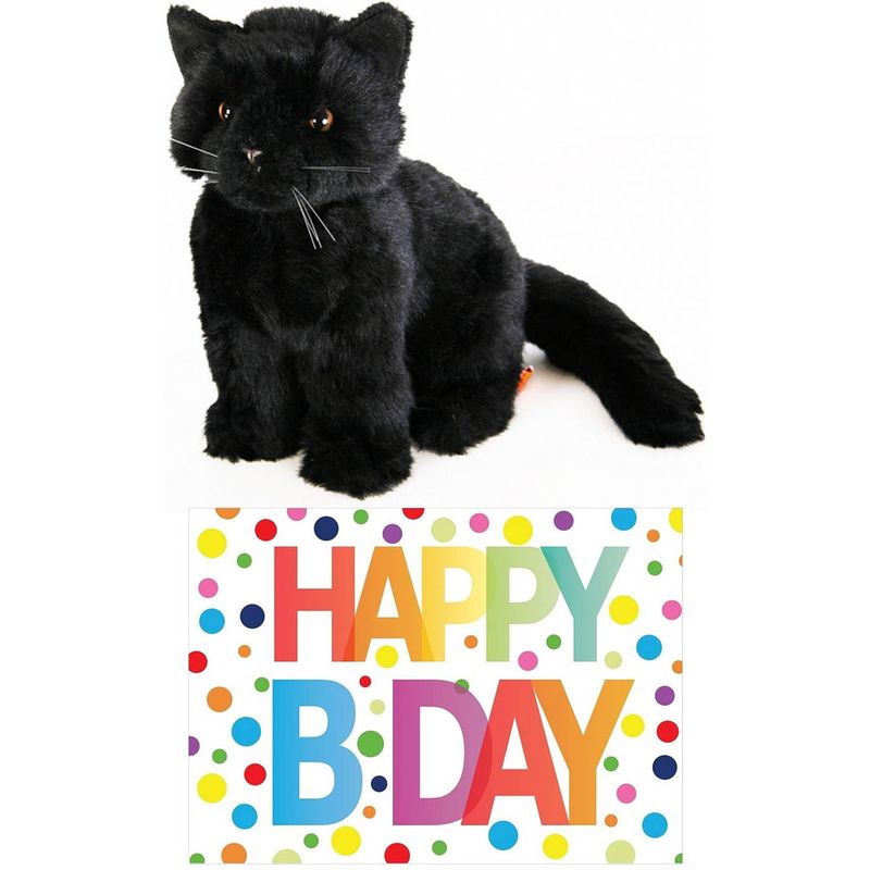 Foto van Cadeau setje pluche zwarte kat/poes knuffel 20 cm met happy birthday wenskaart - knuffel huisdieren