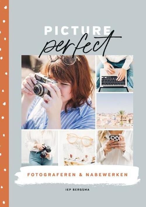 Foto van Picture perfect - iep bergsma - ebook (9789043921398)