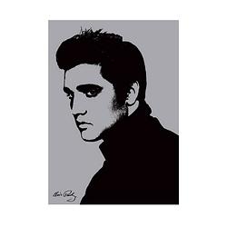 Foto van Kunstdruk elvis presley metallic 60x80cm