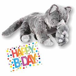 Foto van Pluche knuffel kat/poes grijs 32 cm met a5-size happy birthday wenskaart - knuffel huisdieren
