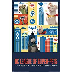 Foto van Pyramid dc super pets activate poster 61x91,5cm