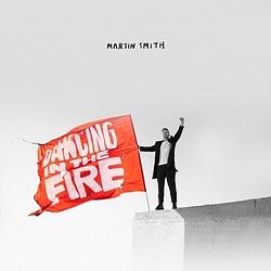 Foto van Dancing in the fire - cd (5037300003740)