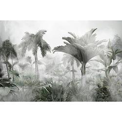 Foto van Inductiebeschermer - mistige jungle - 91.6x52.7 cm