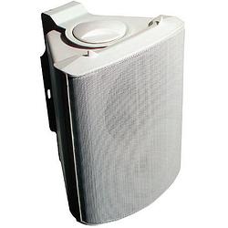 Foto van Visaton wb 13 white 5 inch fullrange speaker 100v/8 ohm 80w