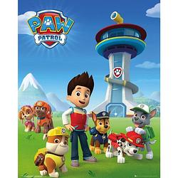 Foto van Gbeye paw patrol team poster 40x50cm