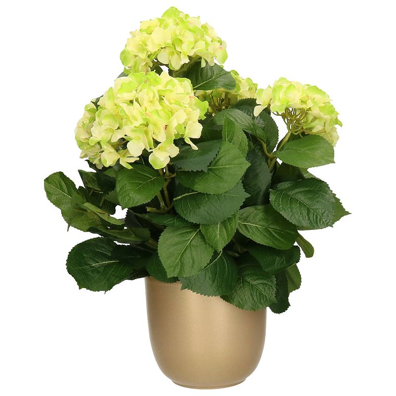 Foto van Hortensia kunstplant/kunstbloemen 45 cm - groen - in pot goud - kunstplanten