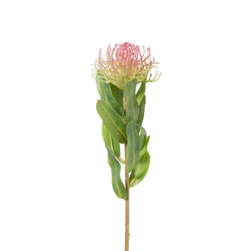 Foto van Kunstbloem leucospermum - fuchsia - 48 cm