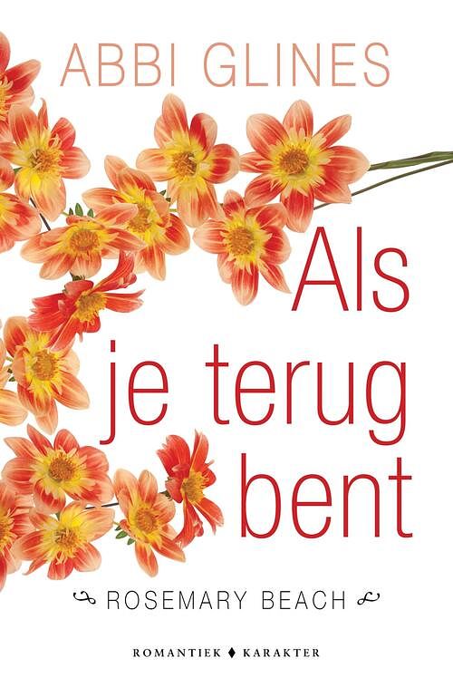 Foto van Als je terug bent - abbi glines - ebook (9789045209791)