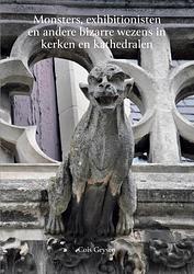 Foto van Monsters, exhibitionisten en andere bizarre wezens in kerken en kathedralen - cois geysen - paperback (9789464062267)