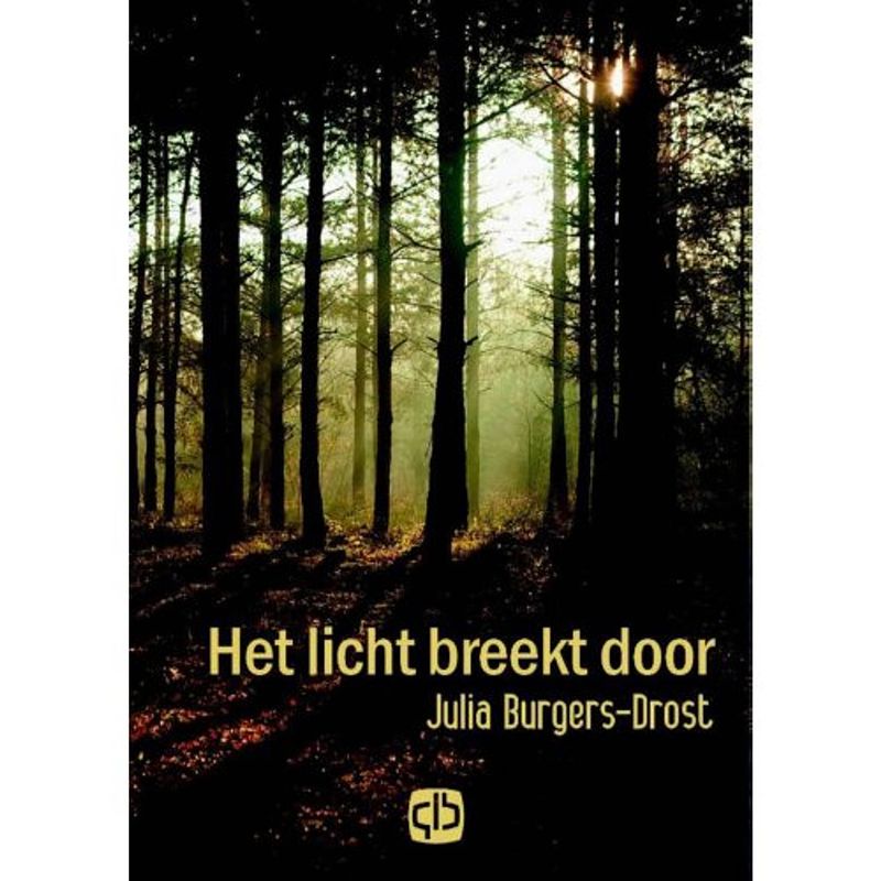 Foto van Het licht breekt door