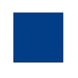 Foto van 50x donkerblauwe servetten 33 x 33 cm - papieren wegwerp servetjes - donkerblauw versieringen/decoraties