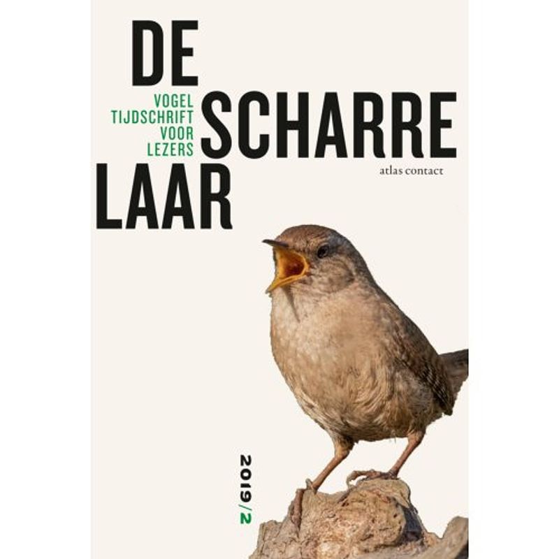 Foto van De scharrelaar / 2019/2