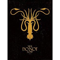 Foto van Pyramid game of thrones greyjoy kunstdruk 60x80cm